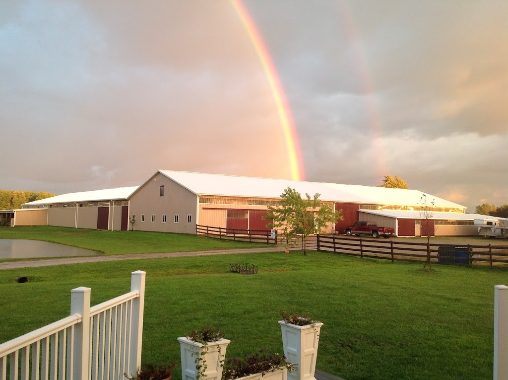 Equine Differences | 11911 Leavitt Rd, Oberlin, OH 44074, USA | Phone: (440) 822-4685