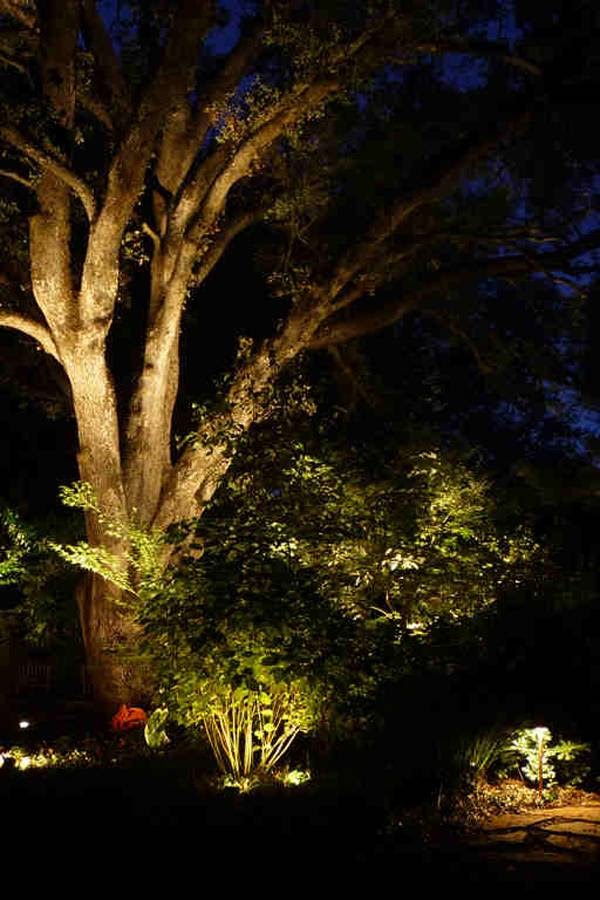 Elegant Outdoor Lighting Landscape Lighting | 4905 Hazel Ave, Fair Oaks, CA 95628, USA | Phone: (916) 527-2418