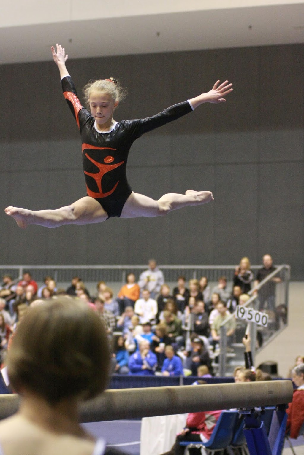 Gymfinity Gymnastics, 6300 Nesbitt Rd, Madison, WI 53719