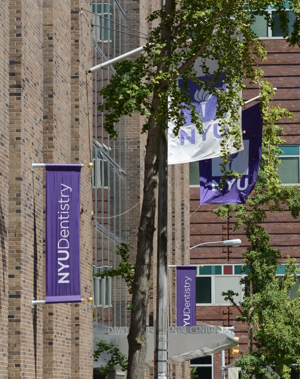 NYU College of Dentistry | 345 E 24th St, New York, NY 10010, USA | Phone: (212) 998-9800