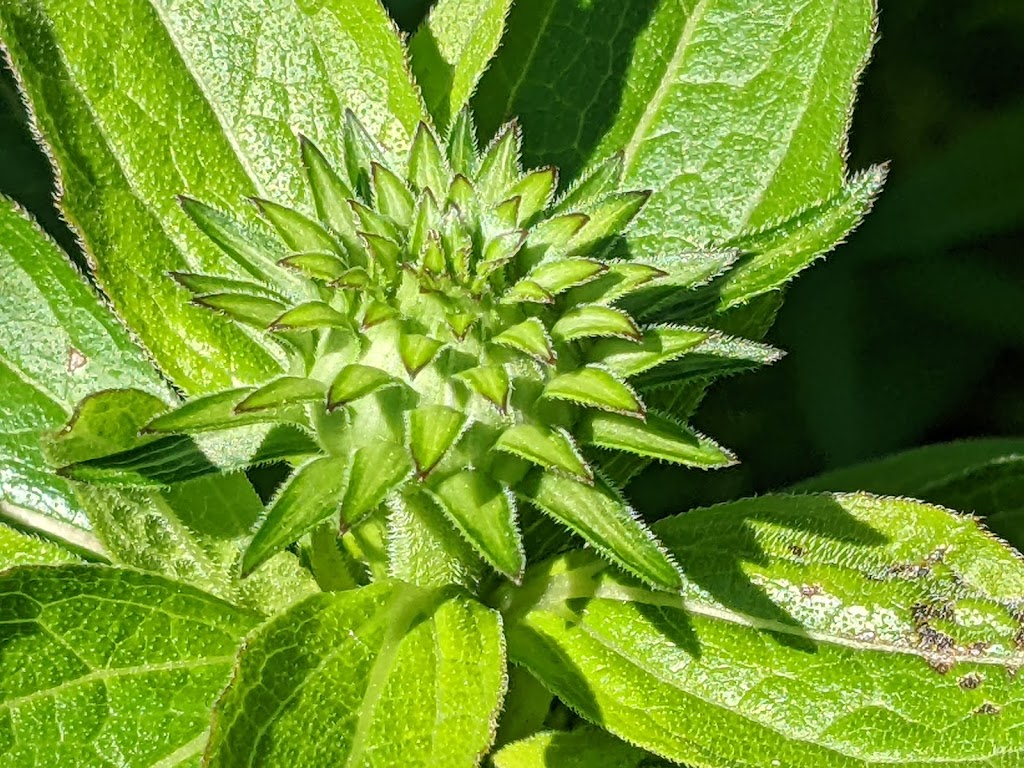 Mentor Marsh Nature Center | 5185 Corduroy Rd, Mentor, OH 44060, USA | Phone: (440) 257-0777