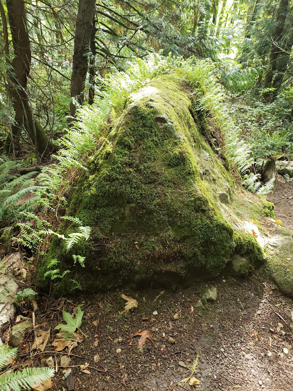 Jim Whittaker Wilderness Peak Trailhead | Renton Issaquah Rd SE, Renton, WA 98059 | Phone: (360) 891-5000