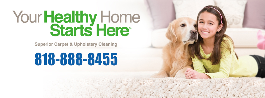 Chem-Dry Carpet & Upholstery Cleaning | 5713 Willis Ave, Van Nuys, CA 91411, USA | Phone: (818) 888-8455