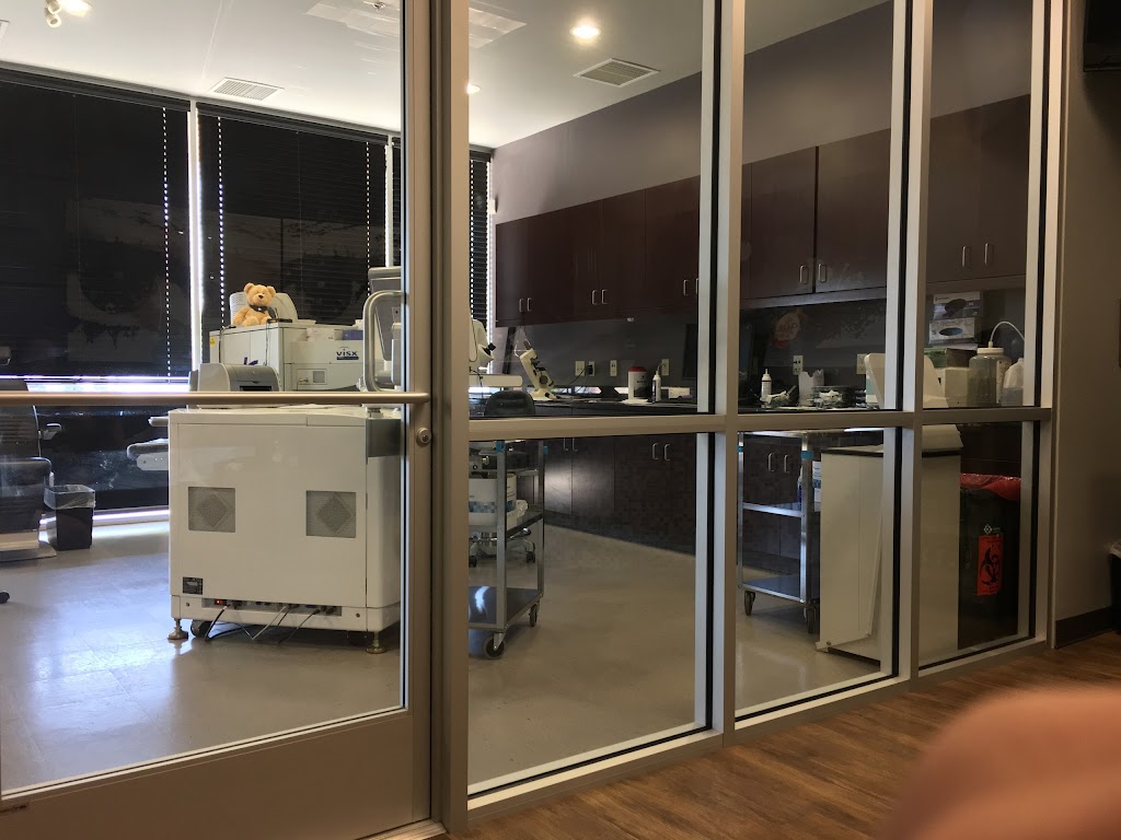 Kleiman Evangelista Eye Centers of Texas - Plano | 3645 Dallas Pkwy Suite 545, Plano, TX 75093, USA | Phone: (972) 945-3704 Kleiman Evangelista Eye Centers of Texas - Plano | 3645 Dallas Pkwy Suite 545, Plano, TX 75093, USA | Phone: (972) 945-3704