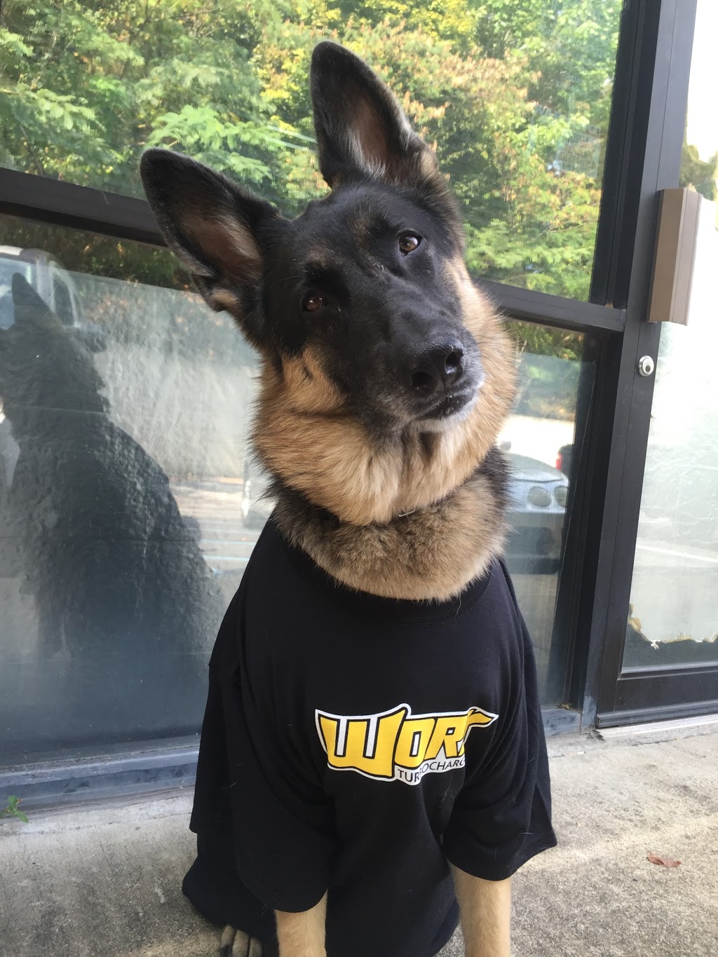 Work Turbochargers | 2359 Pelham Pkwy, Pelham, AL 35124, USA | Phone: (205) 874-6608