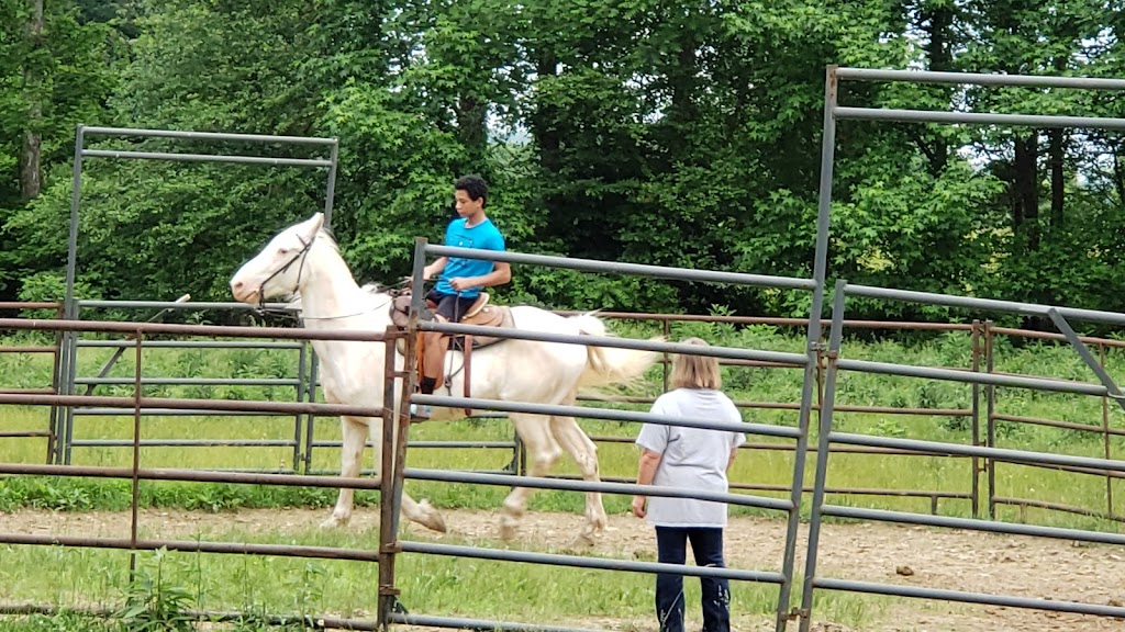 Shangri-La Horse training | 12515 IN-160, New Pekin, IN 47165, USA | Phone: (502) 648-6950