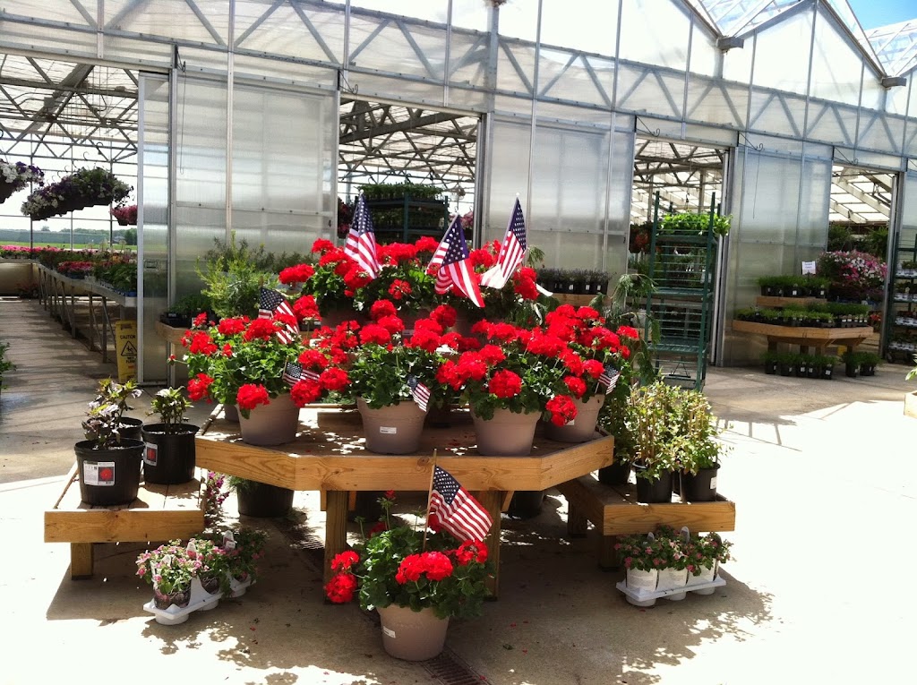 Dutch Mill Greenhouse | 18443 OH-4, Marysville, OH 43040, USA | Phone: (937) 642-0511