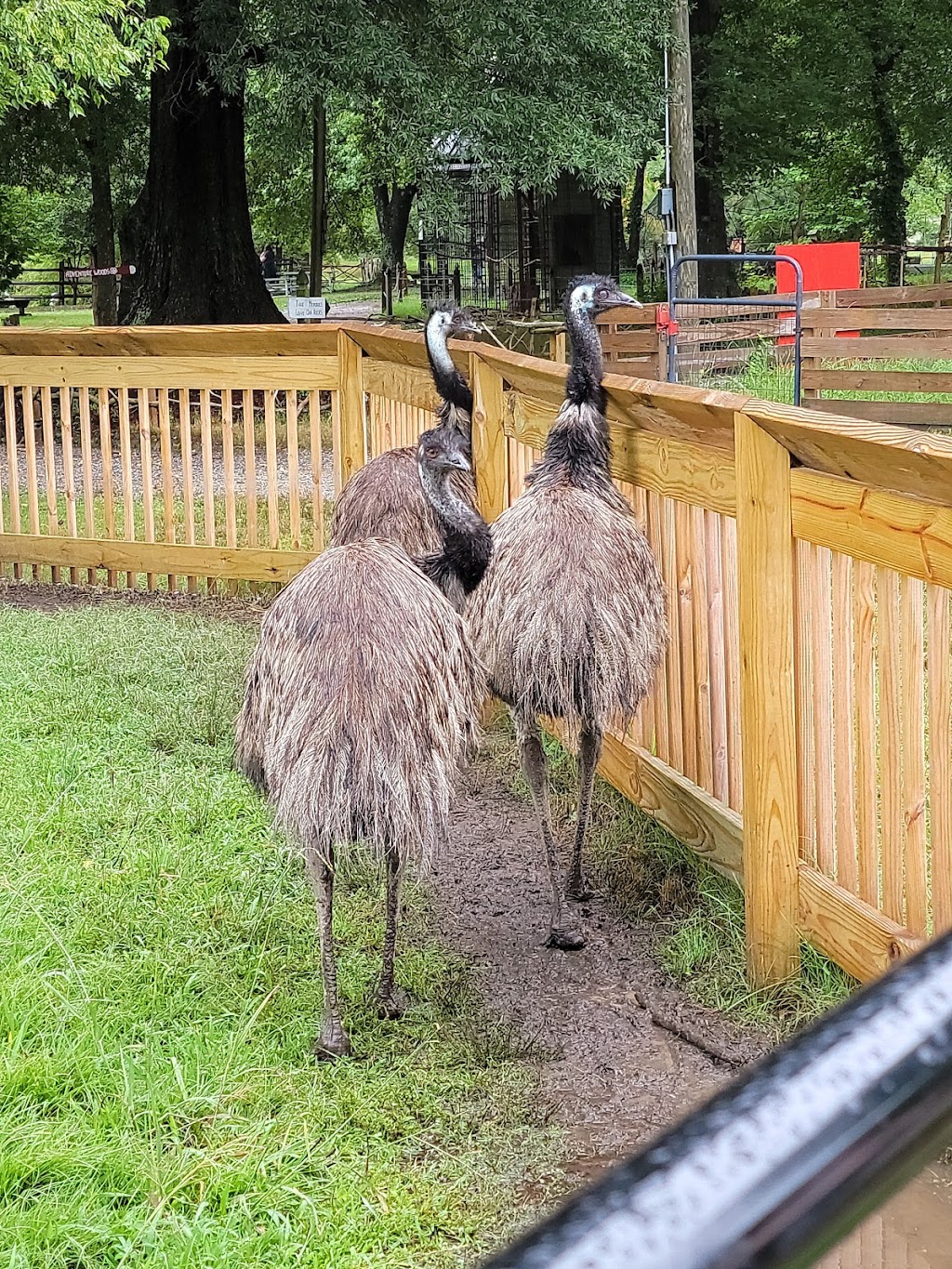 Bluebird Gap Farm | 60 Pine Chapel Rd, Hampton, VA 23669, USA | Phone: (757) 825-4750