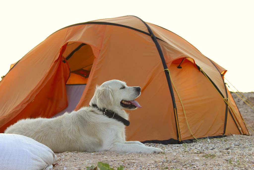 Andyland Boondocking | 21065 Judge Orr Rd, Calhan, CO 80808, USA | Phone: (719) 960-7554