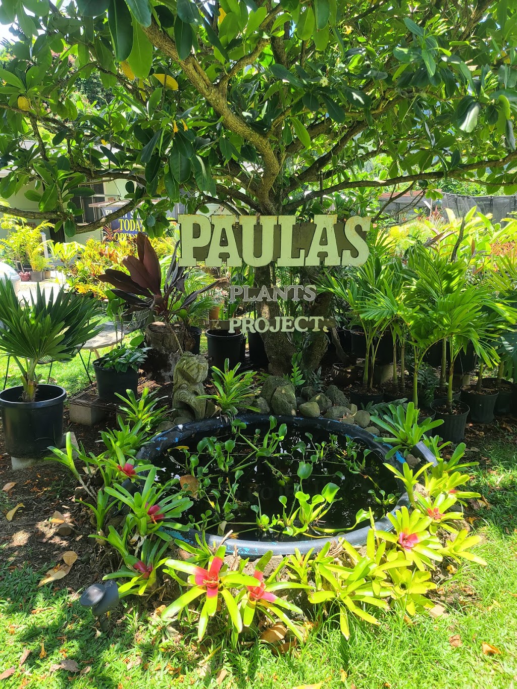 Paulas Plants and Projects | 47 120 Okana Rd, Kaneohe, HI 96744, USA | Phone: (808) 209-3412