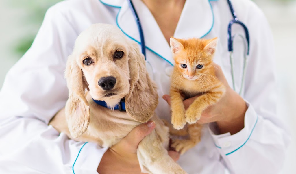 Raritan Valley Veterinary Hospital | 1190 NJ-28, Branchburg, NJ 08876, USA | Phone: (908) 905-0041