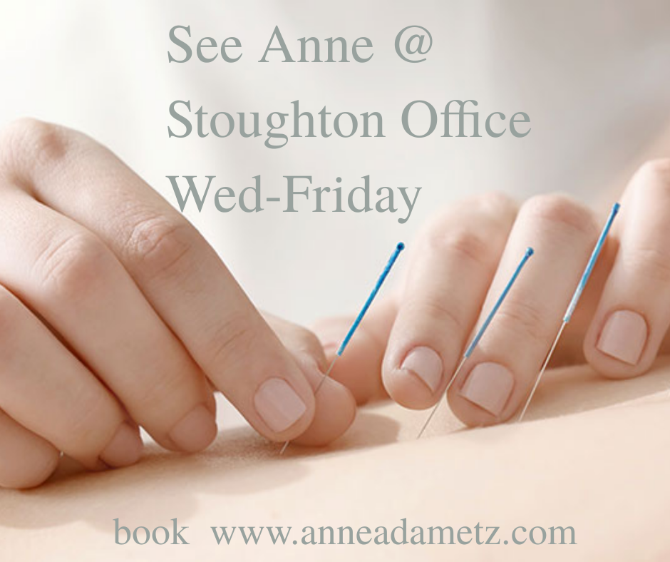 Anne Adametz: Acupuncturist, Health Mentor, Yoga Specialist, Speaker | 715 Hill St #130, Madison, WI 53705, USA | Phone: (608) 577-9642