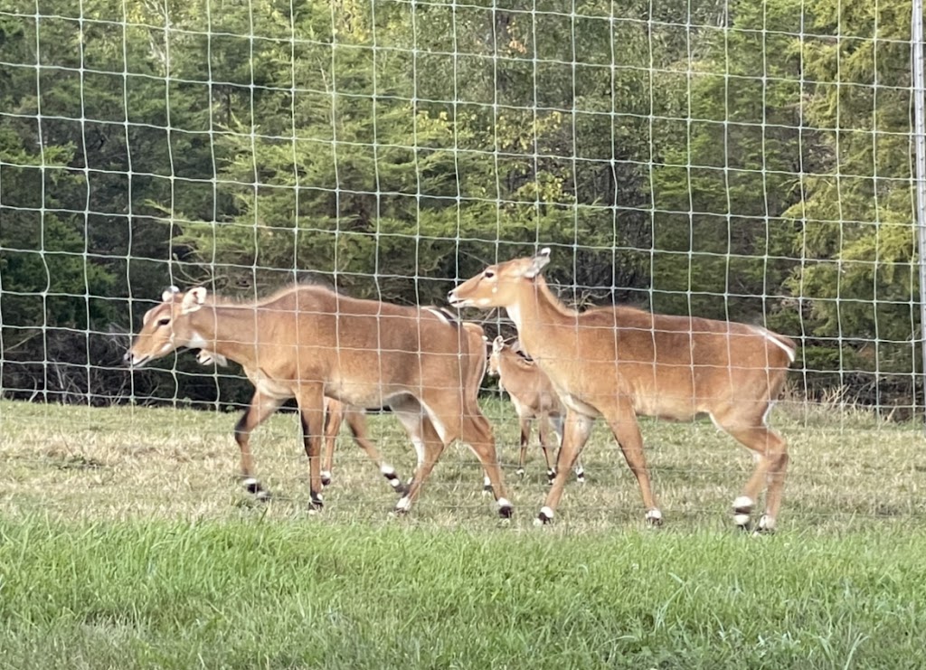 Little crooked creek safari | 1430 Little Crooked Creek Rd, Lawrenceburg, KY 40342, USA | Phone: (502) 445-6501