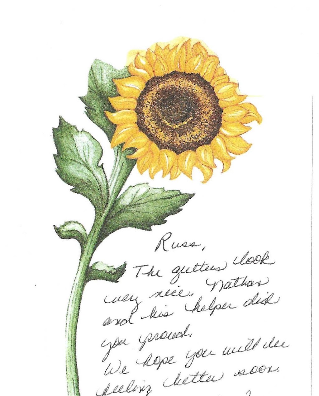 American Gutter Services | 9395 Roseland Ct, Mechanicsville, VA 23116, USA | Phone: (804) 741-6973