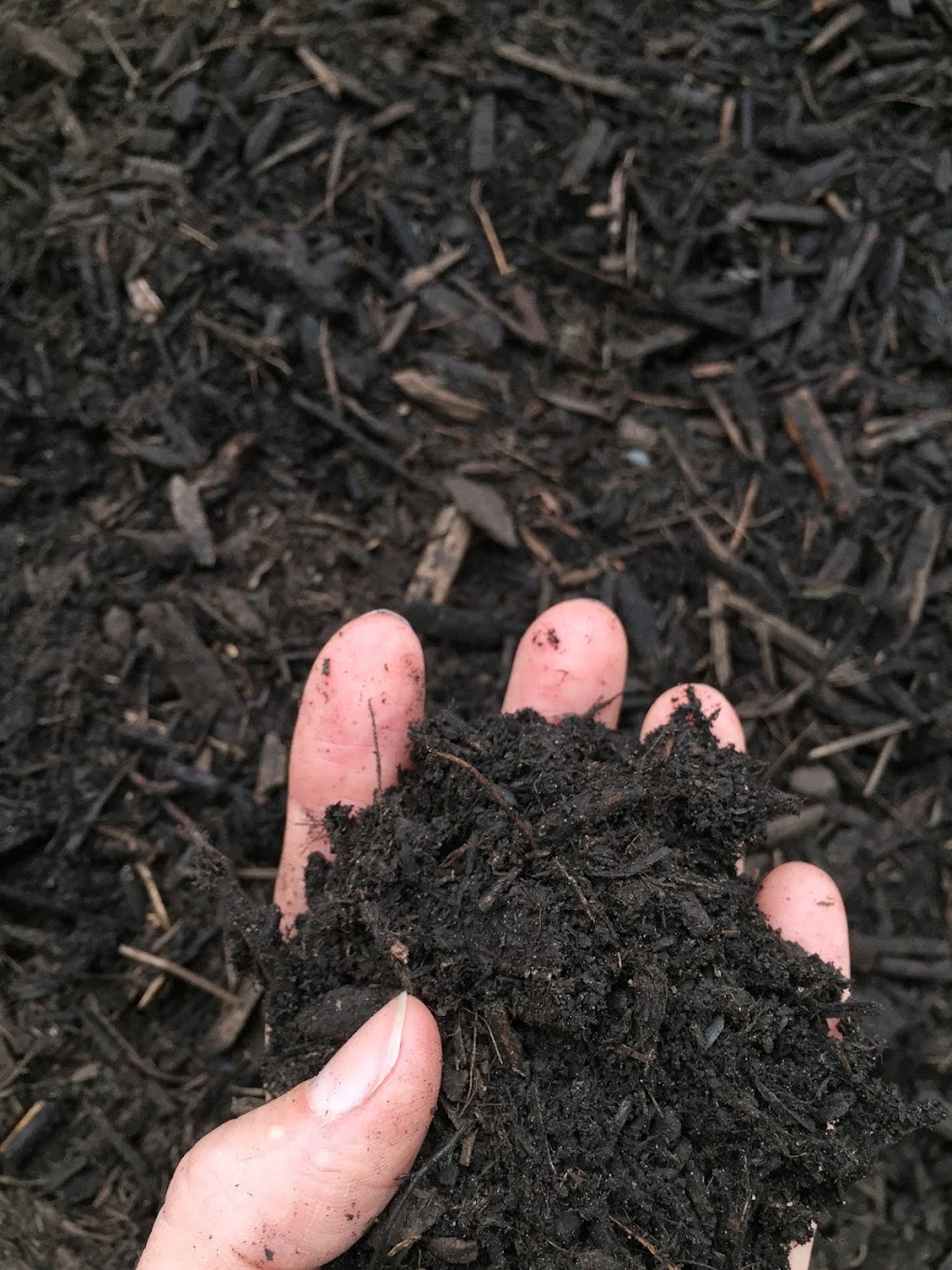 TILZ Soils & Compost | 12112 Miller Rd NE, Bainbridge Island, WA 98110, USA | Phone: (206) 842-4045