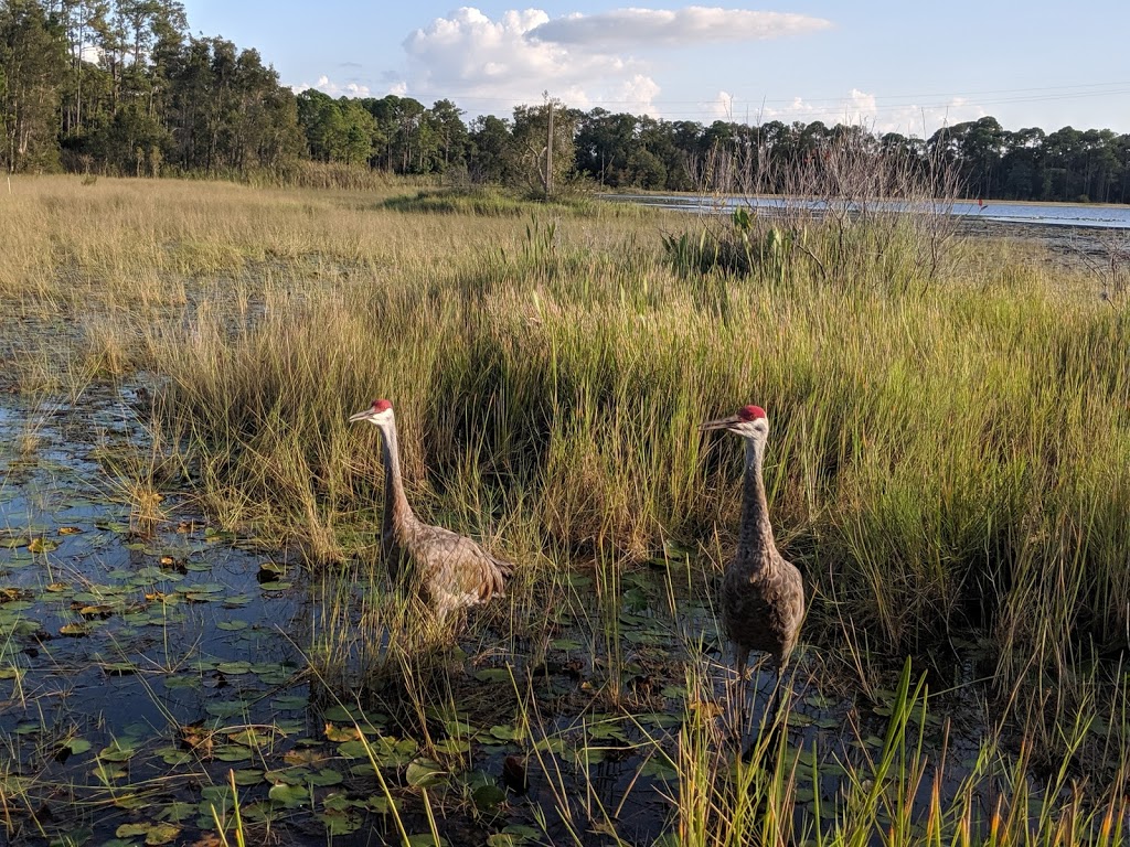 Lake Chautauqua | 2312 Landmark Dr, Clearwater, FL 33759 | Phone: (727) 562-4800