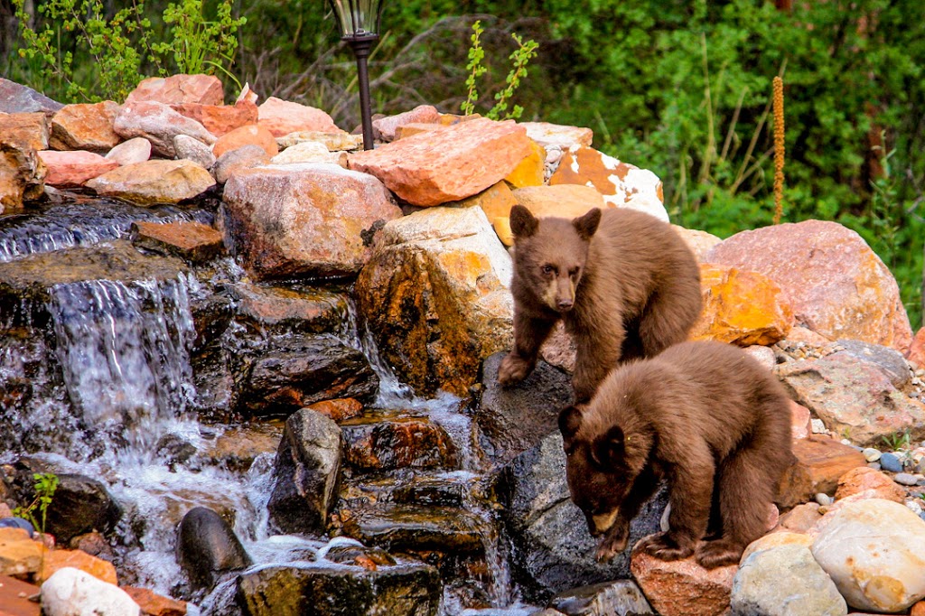 Jason Roshek & Partners with Coldwell Banker 1st Choice Realty in Woodland Park, CO | 18401 E. Highway 24, Woodland Park, CO 80863 | Phone: (719) 687-1534