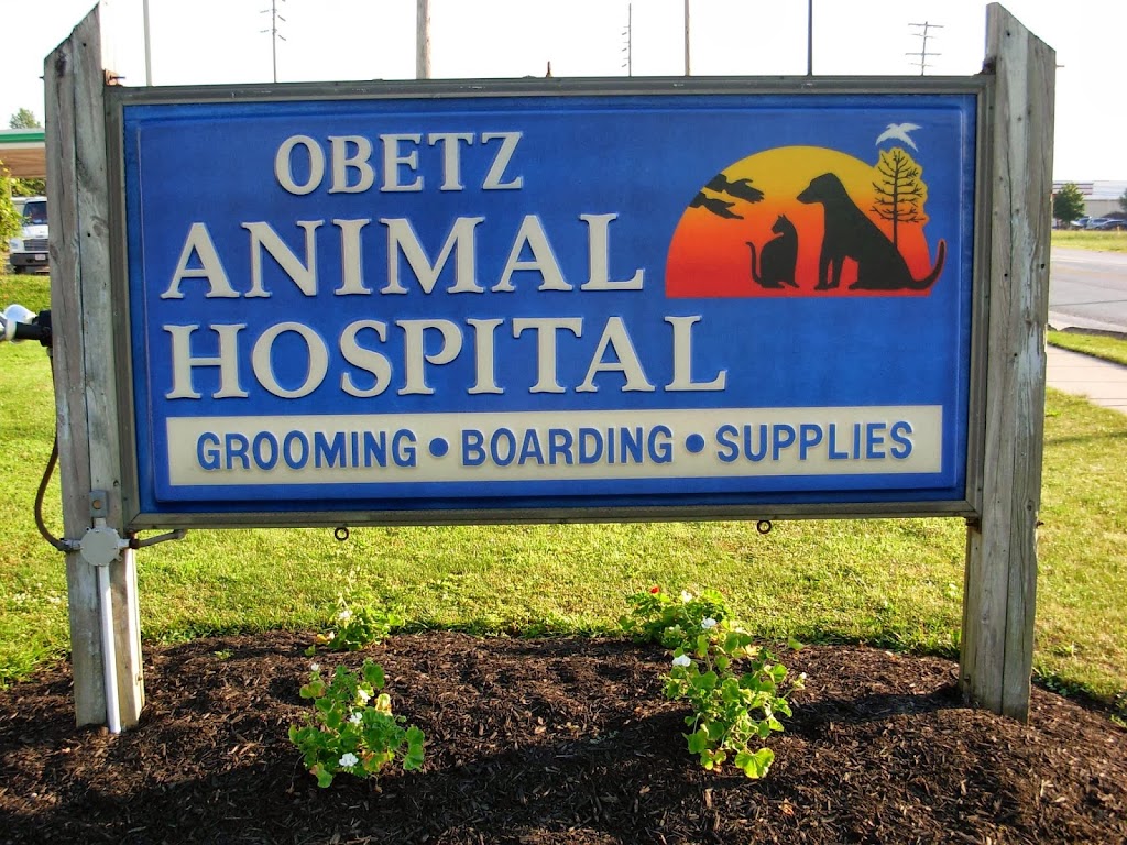 Obetz Animal Hospital: Waidelich, Nicole DVM | 3999 Alum Creek Dr, Columbus, OH 43207, USA | Phone: (614) 491-5676