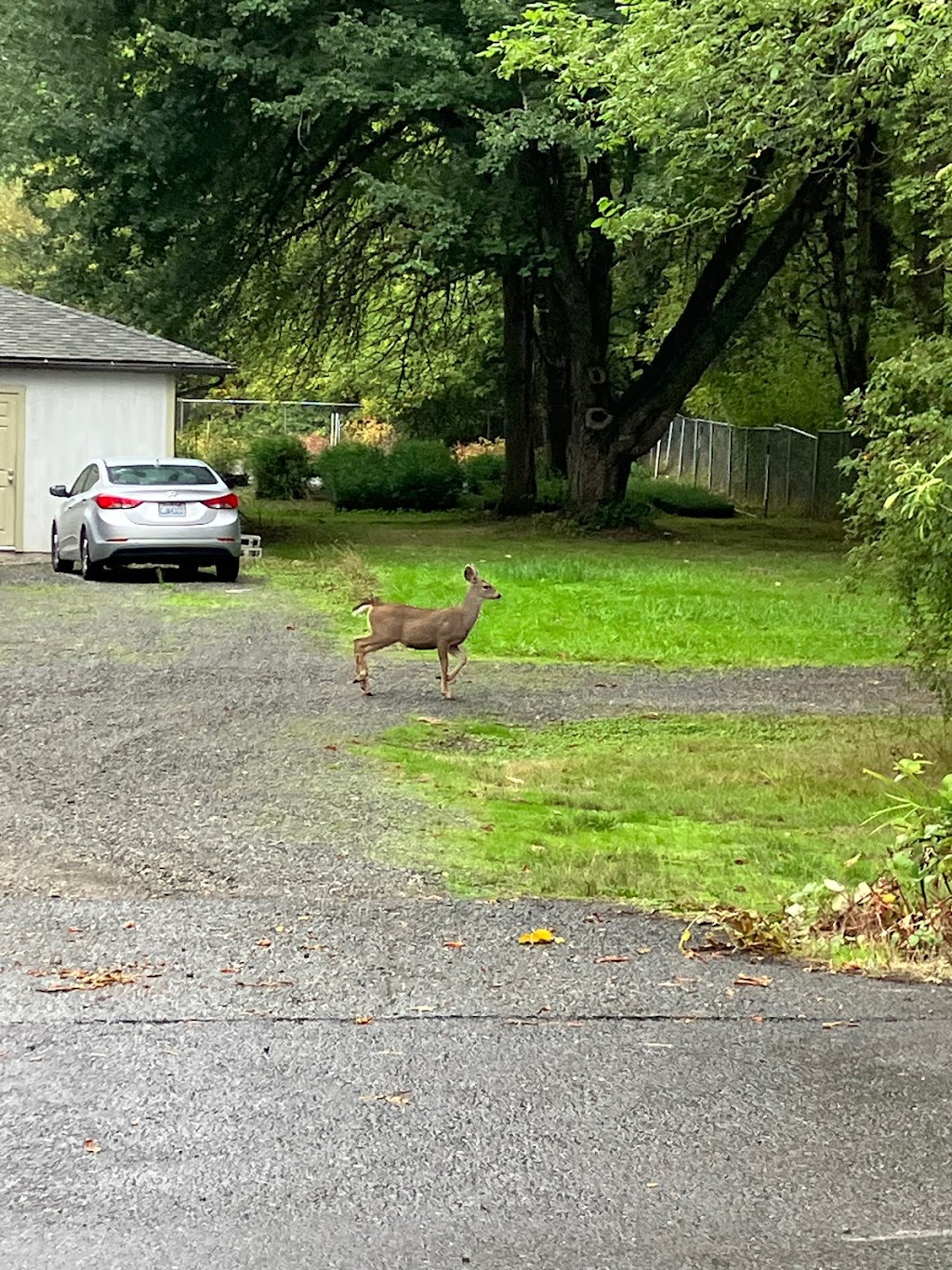 Lake Sammamish State Park Office | 2010 NW Sammamish Rd, Issaquah, WA 98027, USA | Phone: (425) 649-4275