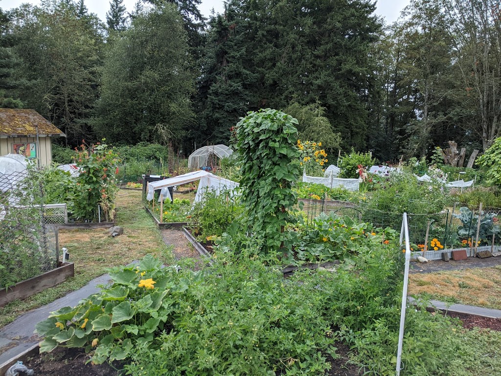 Raab Park Community P-Patch Garden | 18349 Caldart Ave NE, Poulsbo, WA 98370, USA | Phone: (360) 779-9898