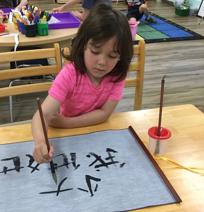 Sleepy Tigers Chinese Immersion Preschool / Daycare | 16023 Minnetonka Blvd, Minnetonka, MN 55345, USA | Phone: (612) 986-6010