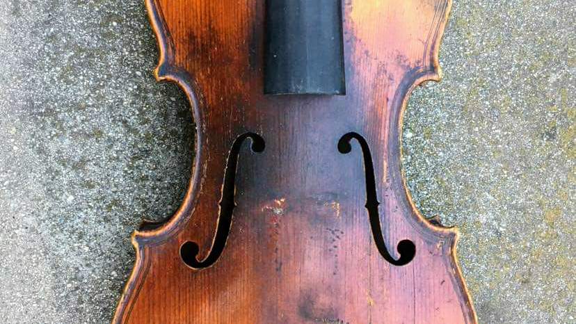 Perpetual Violins, Inc. - Appointment Only | 2509 Figtree Ln, Plano, TX 75074, USA | Phone: (903) 689-3345