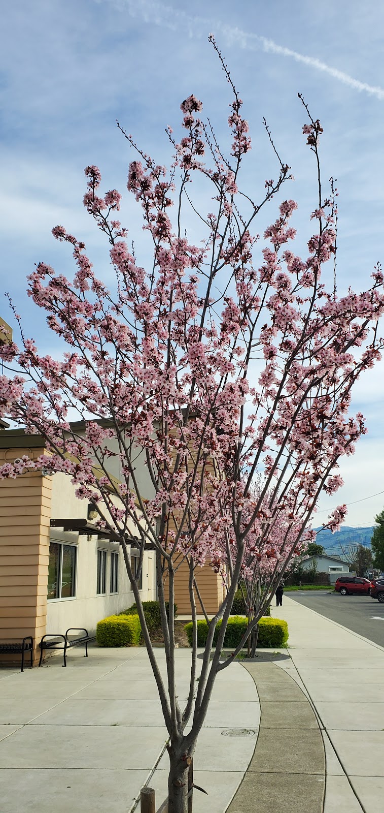 Overfelt Adult Center - Sunday