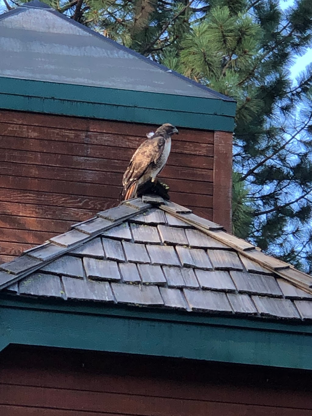 North Tahoe Nevada Welcome Center | 969 Tahoe Blvd, Incline Village, NV 89451, USA | Phone: (775) 832-1606