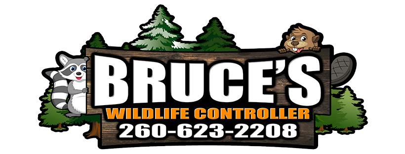 Bruces Wildlife Controller | 204 Main St, Monroeville, IN 46773, USA | Phone: (260) 623-2208