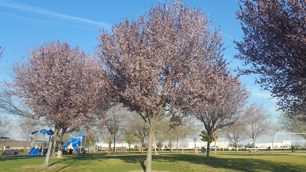 Tradewinds Park | 5510 Beach Rose Dr, Bakersfield, CA 93311, USA | Phone: (661) 326-3866