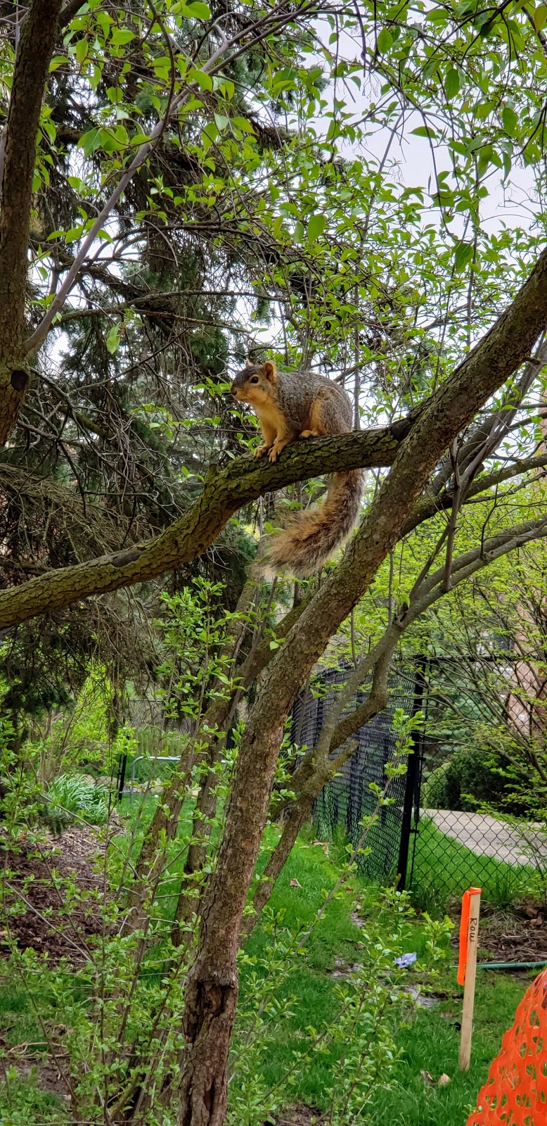 Meadowbrook Park | 2500 S 7th St, Ann Arbor, MI 48103, USA | Phone: (734) 794-6230 Meadowbrook Park | 2500 S 7th St, Ann Arbor, MI 48103, USA | Phone: (734) 794-6230