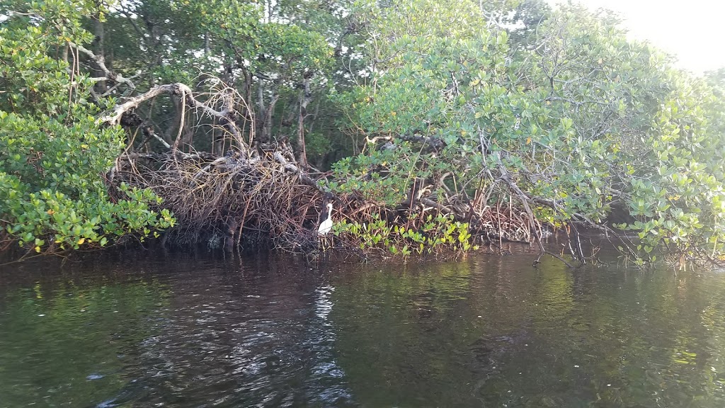 Cockroach Bay Preserve State Park | end of Cockroach Bay Road, Ruskin, FL 33570, USA | Phone: (239) 253-0811