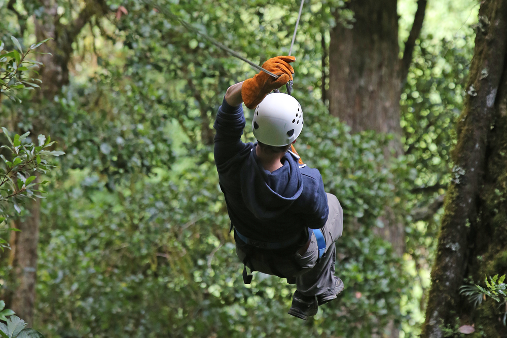 Eat The Peach Travel | 1813 Pasadena Dr, Dunedin, FL 34698, USA | Phone: (877) 955-6655