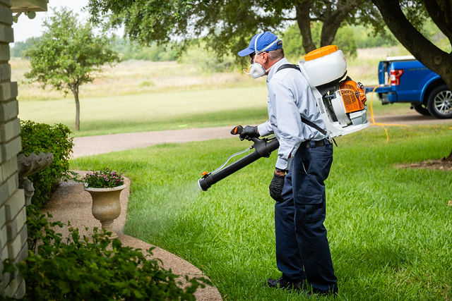 Integrity Pest Control - DFW | 935 S Kimball Ave #162, Southlake, TX 76092, USA | Phone: (817) 427-5550