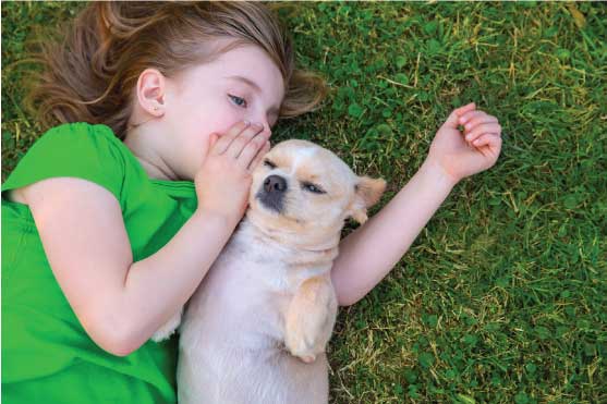 ORGREENX | 6915 Manatee Ave W H-15, Bradenton, FL 34209, USA | Phone: (941) 896-2852