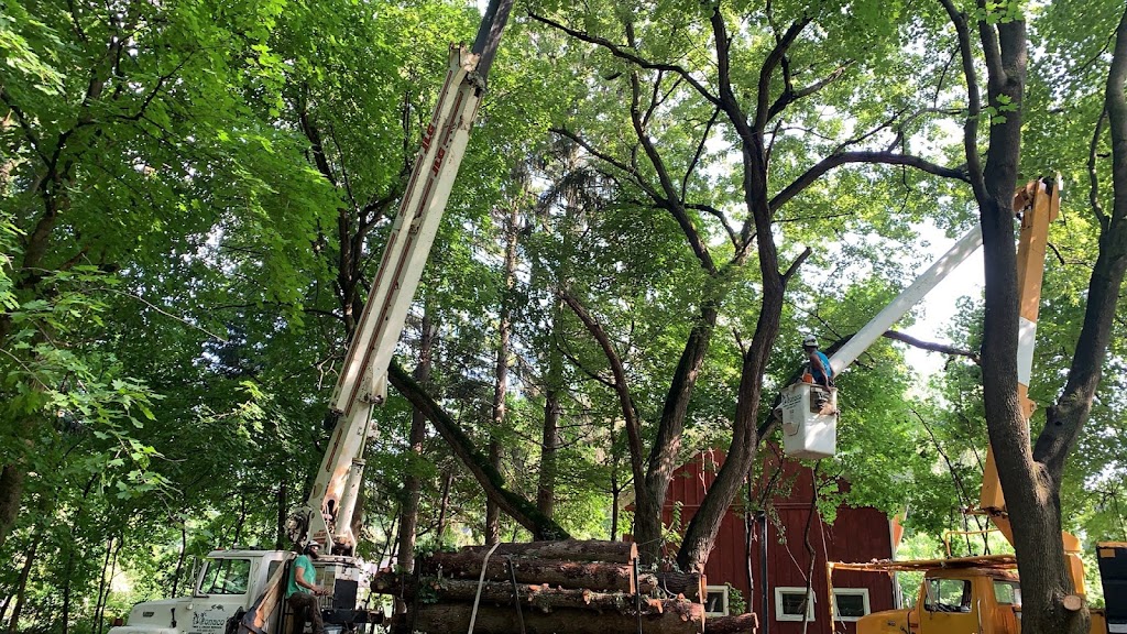 Monaco Tree & Crane Services | 4990 Lane Rd, Perry, OH 44081, USA | Phone: (440) 669-9371