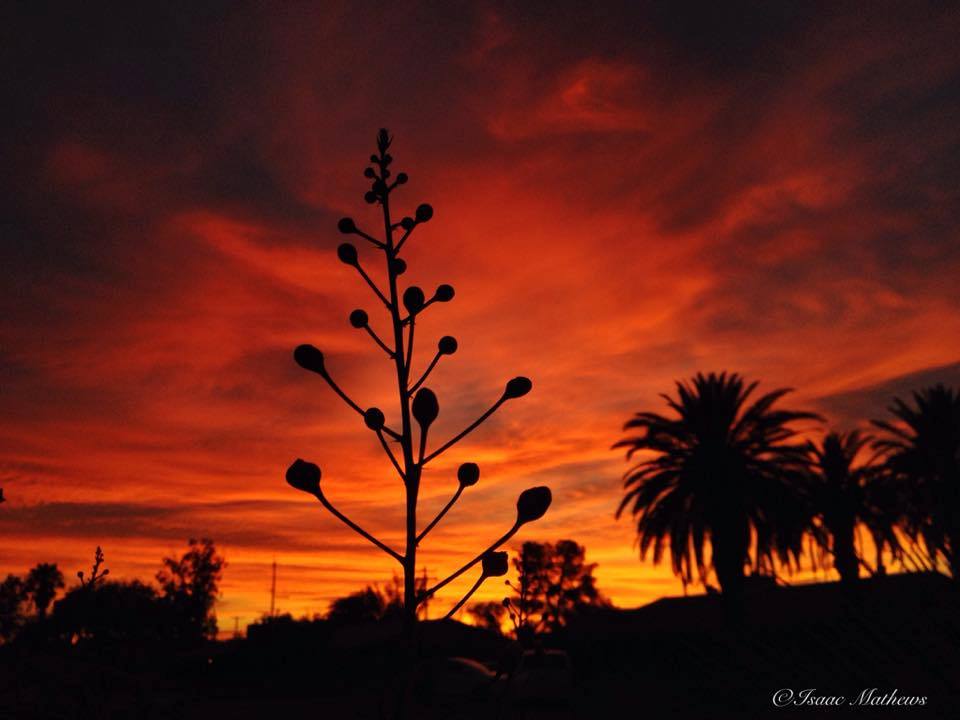 Sunset View Realty | 2292 W Magee Rd Ste 270, Tucson, AZ 85742, USA | Phone: (520) 401-2600