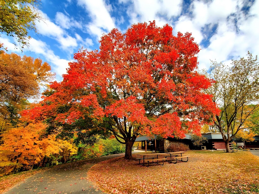 Lowry Nature Center | 7025 Victoria Dr, Victoria, MN 55386, USA | Phone: (763) 694-7650