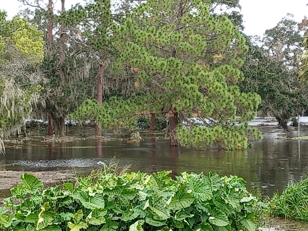 Little Manatee Springs | 4337 Hamlin Way, Wimauma, FL 33598, USA | Phone: (813) 634-2395