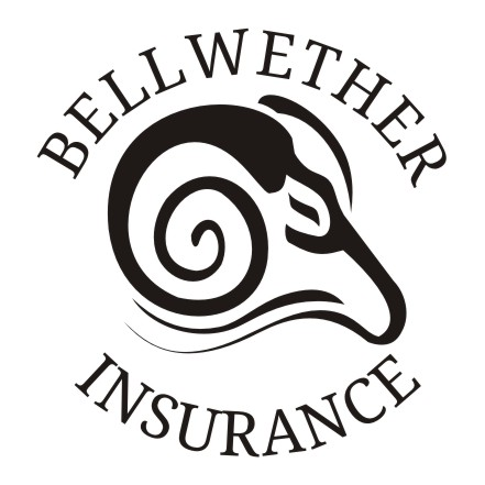Bellwether Insurance | 116 Public Square, Lagrange, OH 44050, USA | Phone: (216) 600-2828