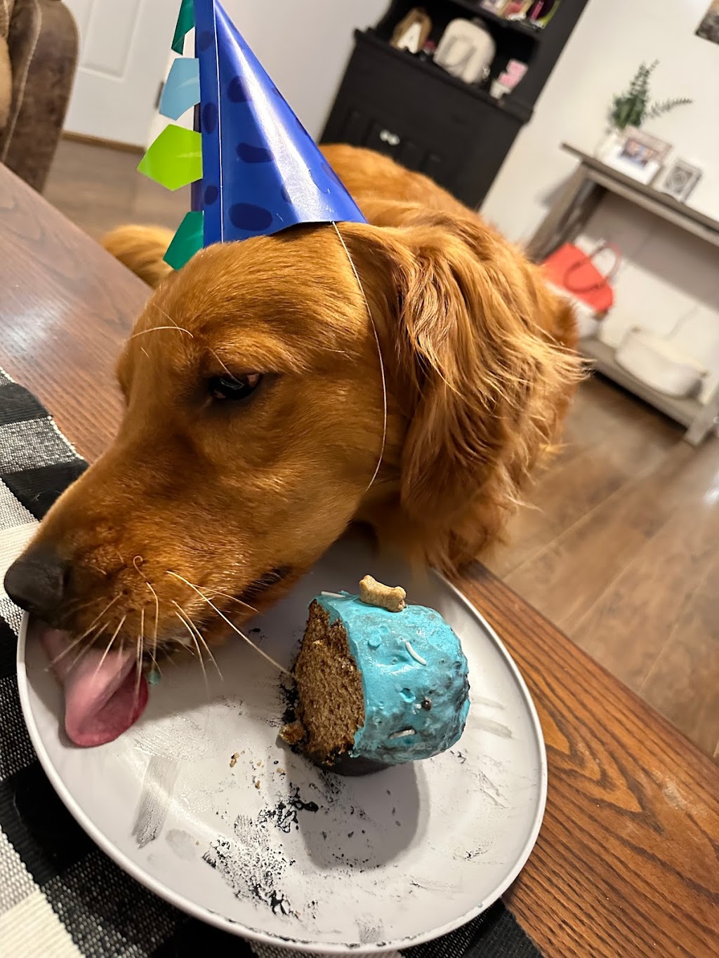 Fur the Luv of Dogs Bakery | 317 W Garland Ave, Fairborn, OH 45324, USA | Phone: (937) 701-5913