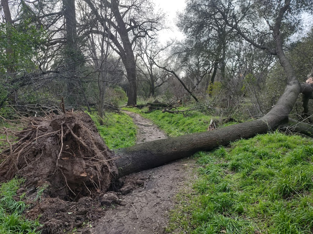 Arcade Creek Nature Area | Carmichael, CA 95608, USA | Phone: (916) 482-8377