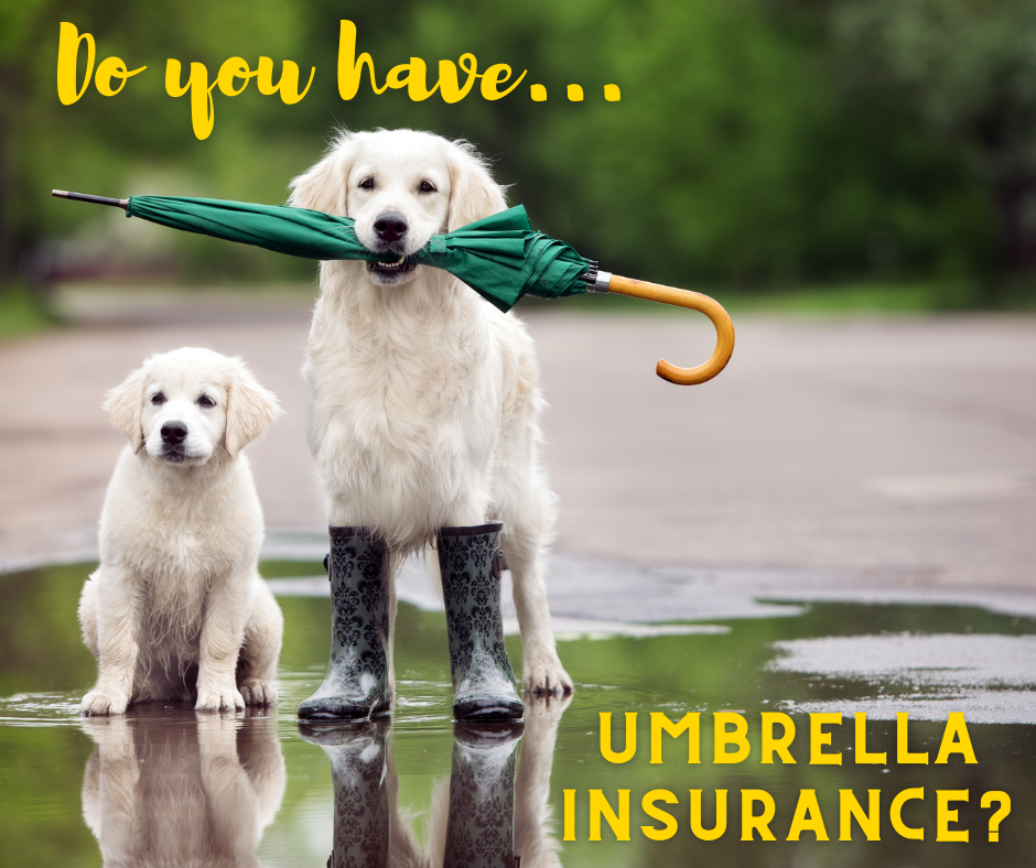 Concierge Insurance Group | 3090 Satellite Blvd, Duluth, GA 30096, USA | Phone: (678) 822-0950