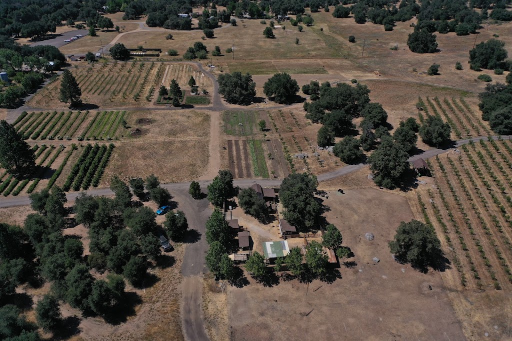 Julian Farm and Orchard | 4381 Julian Hwy, Santa Ysabel, CA 92070 | Phone: (760) 765-5494