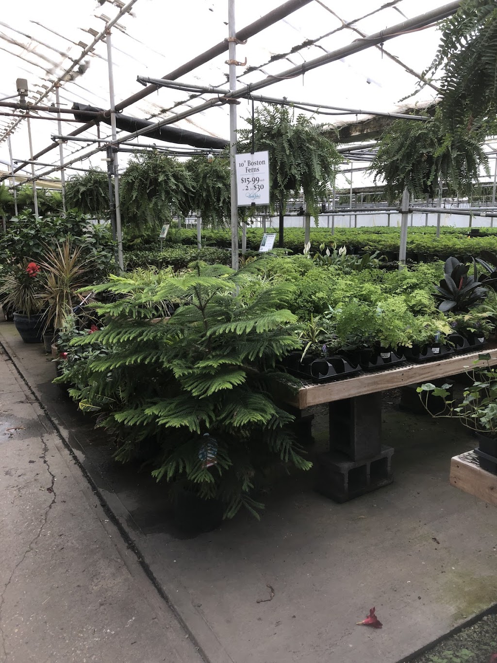 Uncle Johns Plant Farm Home & Garden | 8579 Columbia Rd, Olmsted Falls, OH 44138, USA | Phone: (440) 235-3252