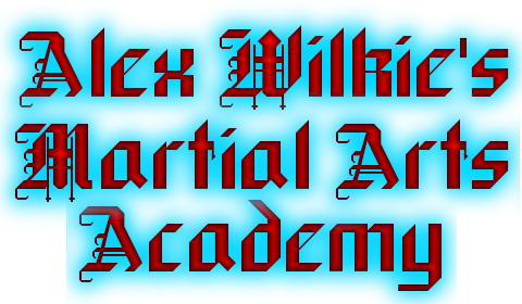 Alex Wilkies Martial Arts Academy | 783 E Main St #30E, Bridgewater, NJ 08807, USA | Phone: (732) 748-1580