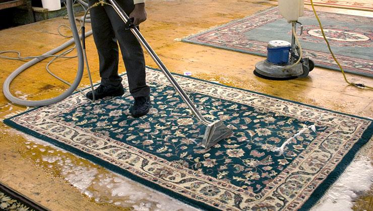 McKinney Carpet Cleaning | McKinney, TX 75069, USA | Phone: (469) 701-3462