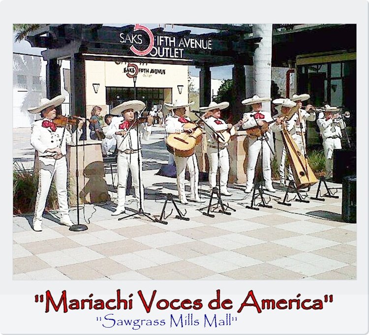 Mariachis Miami | 1142 SW 127th Ct, Miami, FL 33184, USA | Phone: (305) 910-8137