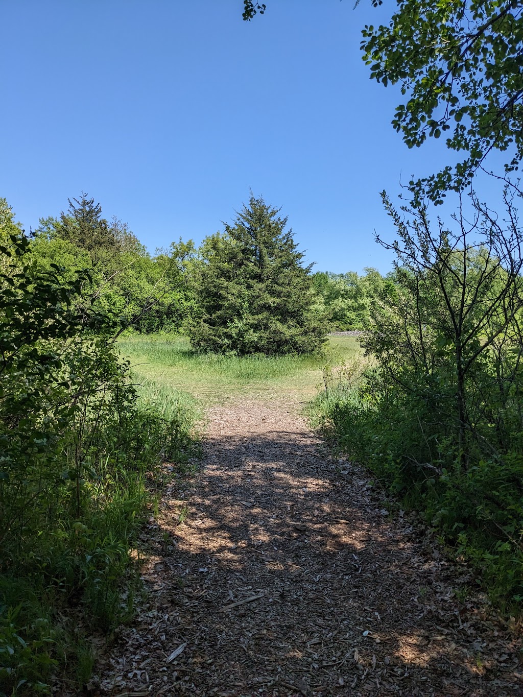 Sandy Knoll County Park | 2064 Wallace Lake Rd, West Bend, WI 53090, USA | Phone: (262) 335-4445