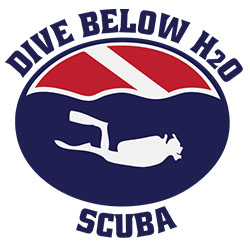 Dive Below h2o Scuba | 139 Donelson Pike, Nashville, TN 37214, USA | Phone: (615) 872-8743